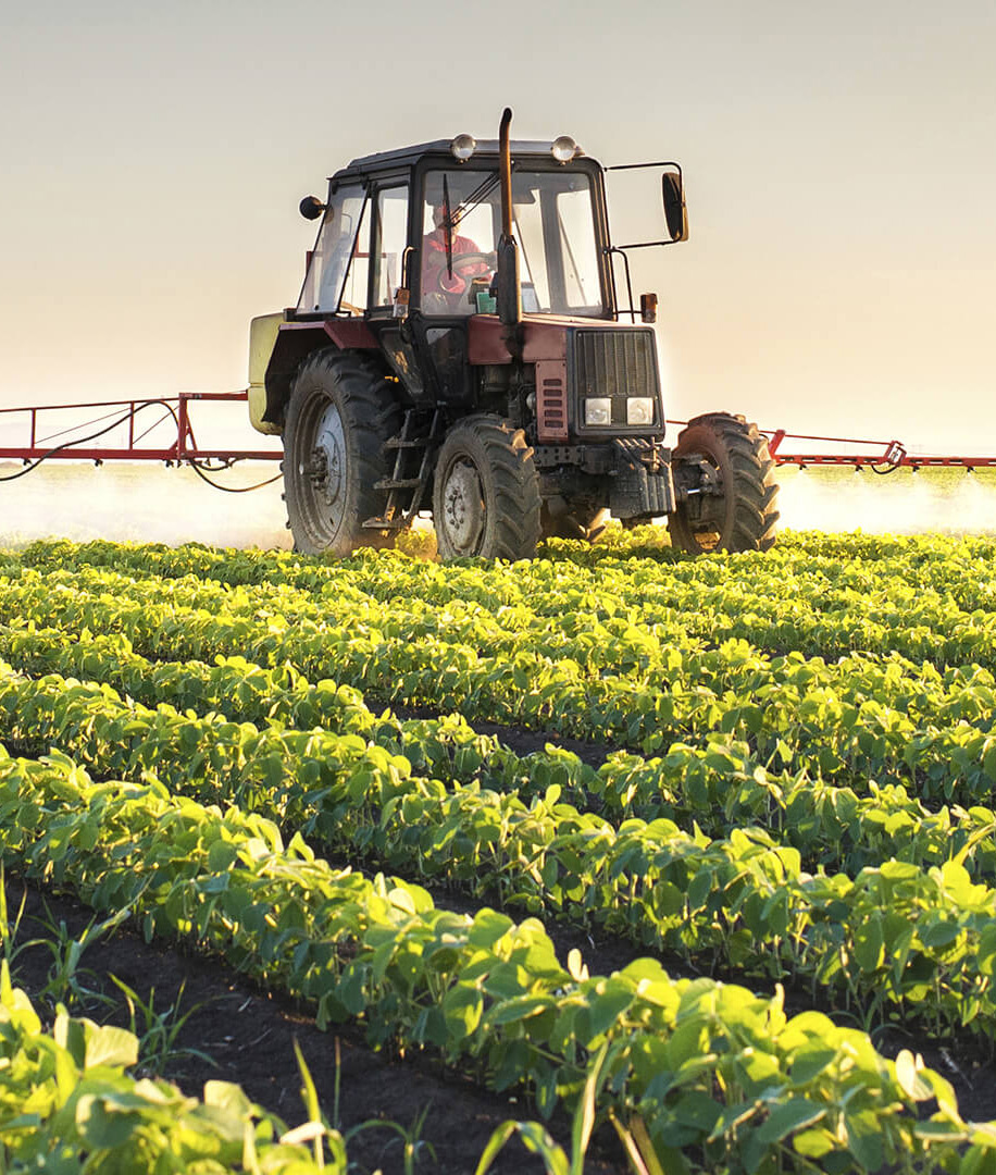 categoriagricola categoriagricola