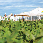 distribuidores agricultor